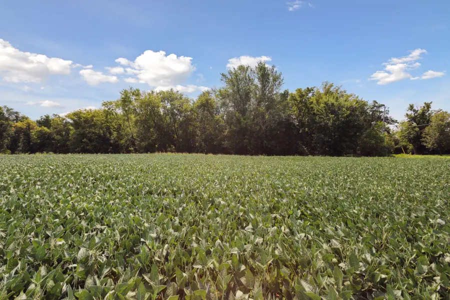 24x3 Holy Name Drive, Medina, MN 55340 - #2