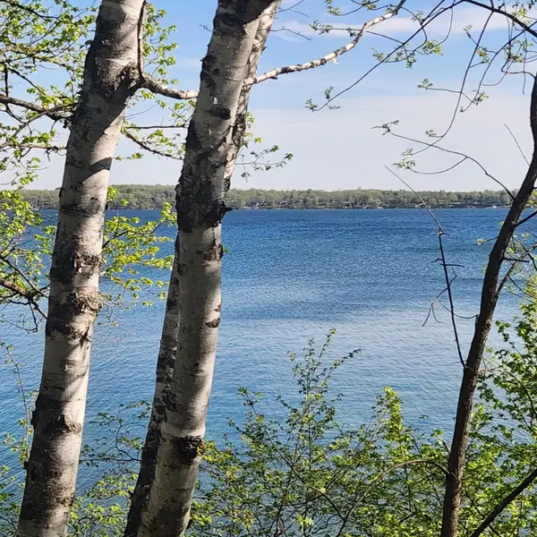 TBD Knollwood Lane, Pelican Rapids, MN 56572