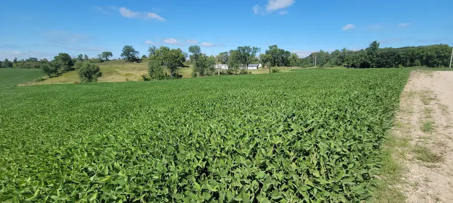 TBD County Highway 15, Detroit Lakes, MN 56501 - #3