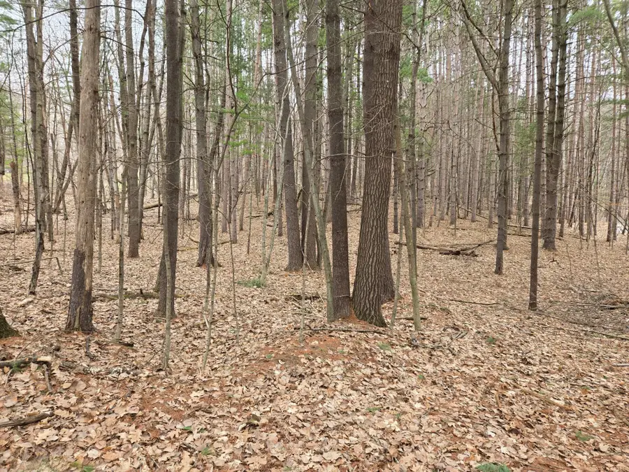Lot 3 732nd Avenue, Menomonie, WI 54751 - #3