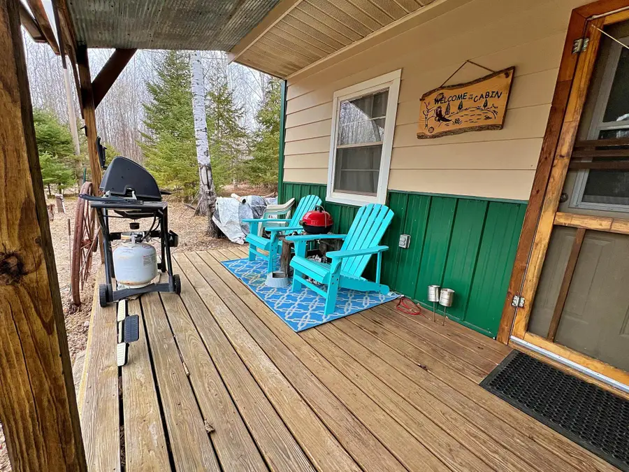 9298 Hingeley Road, Meadowlands, MN 55765 - #3