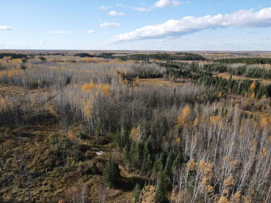 TBD Rice Rapids Road, Effie, MN 56639 - #2