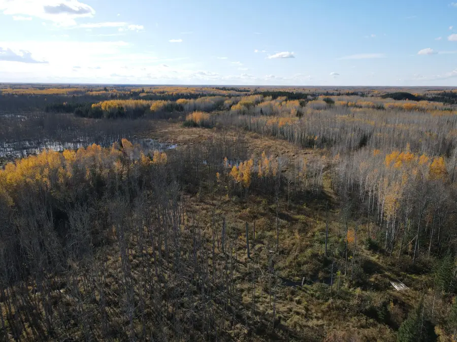 TBD Rice Rapids Road, Effie, MN 56639 - #3