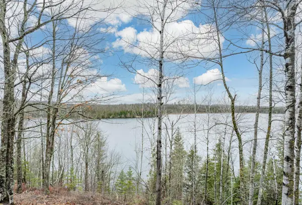 37873 N Star Lake Lane, Marcell, MN 56657