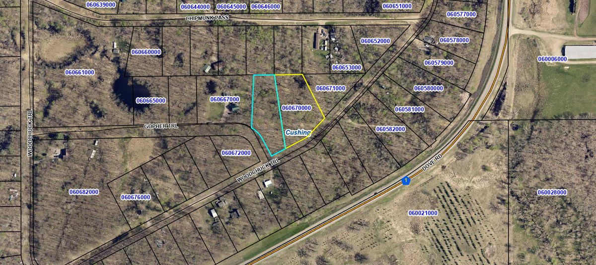 TBD Woodchuck Trail, Cushing, MN 56443 - #1