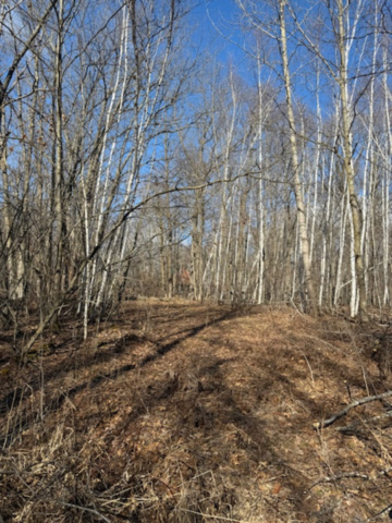 TBD Woodchuck Trail, Cushing, MN 56443 - #2