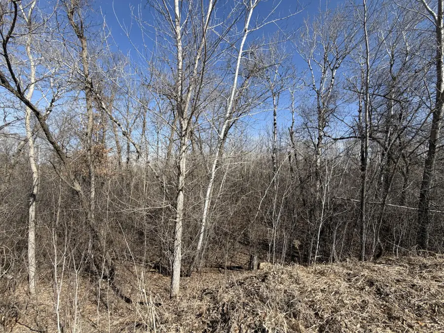 39160 Rocky Court, Sauk Centre, MN 56378 - #2