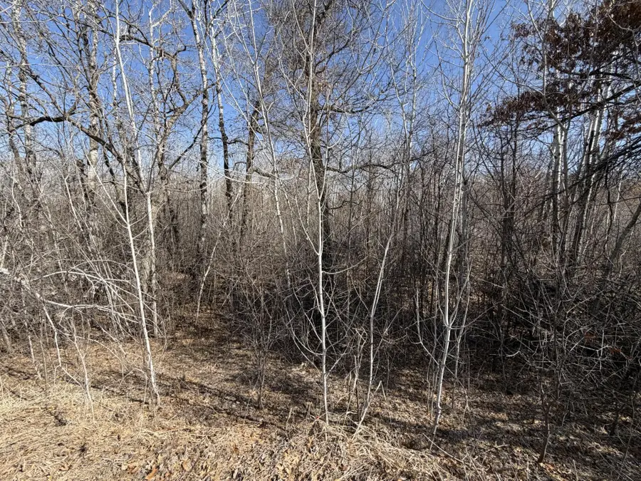 39160 Rocky Court, Sauk Centre, MN 56378 - #3