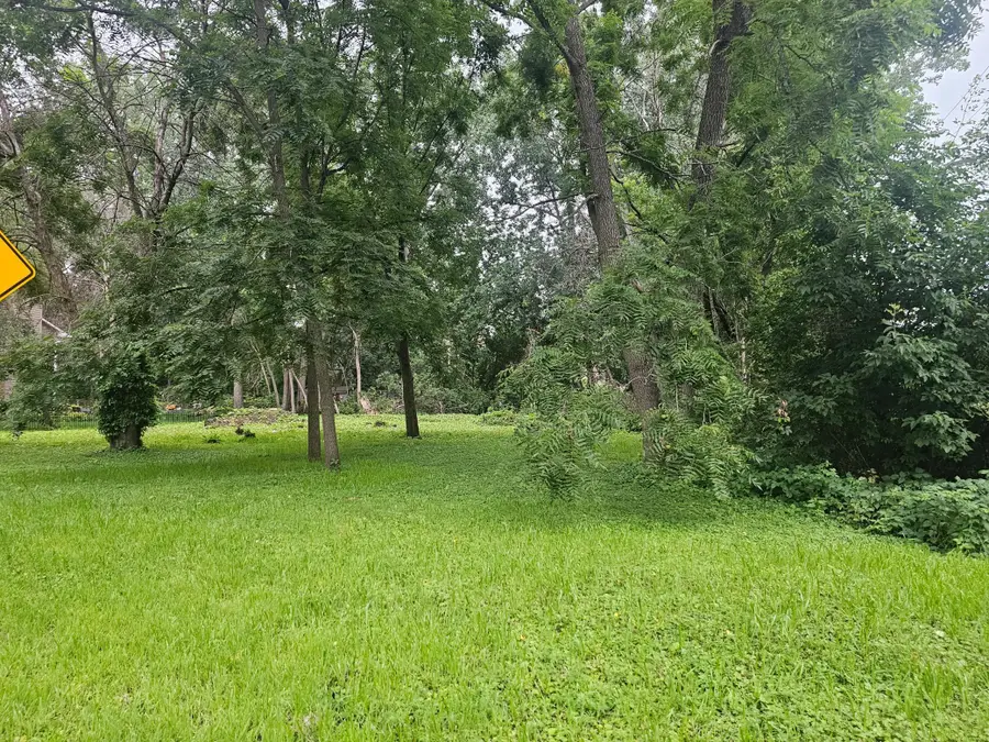 822 Palm Court, North Saint Paul, MN 55109 - #2