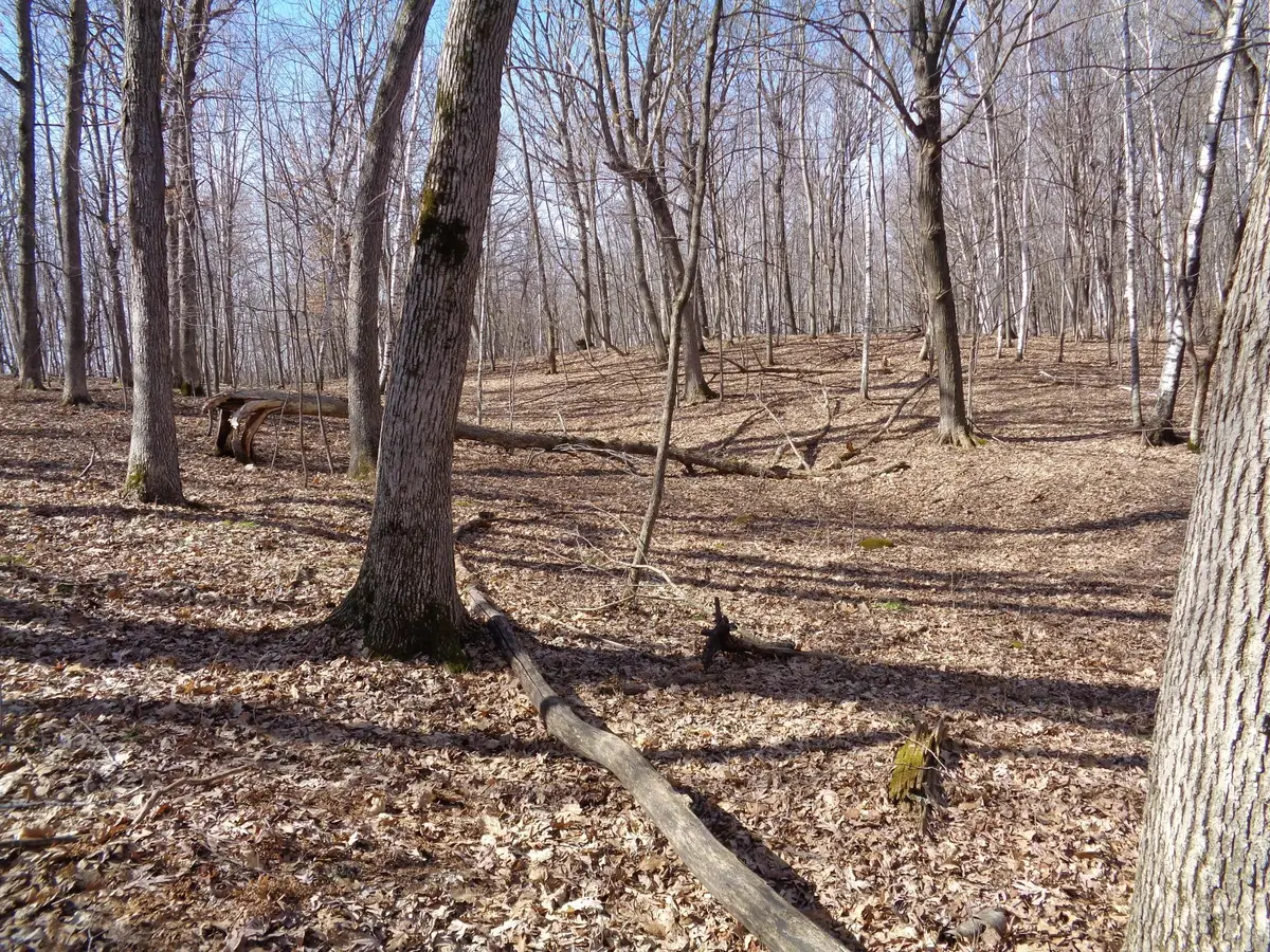 2115 210th Street, Eureka, WI 54824 - #1