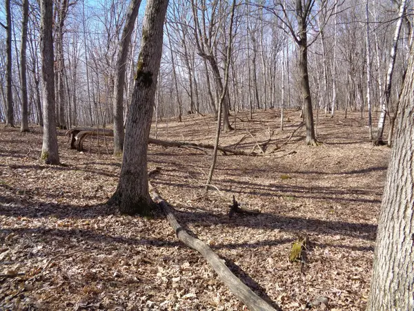 2115 210th Street, Eureka Twp, WI 54824