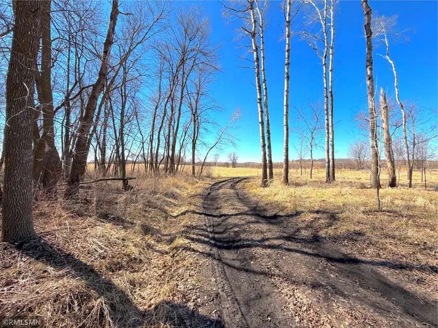 72XX County Road 5 Nw, Howard Lake, MN 55349 - #2