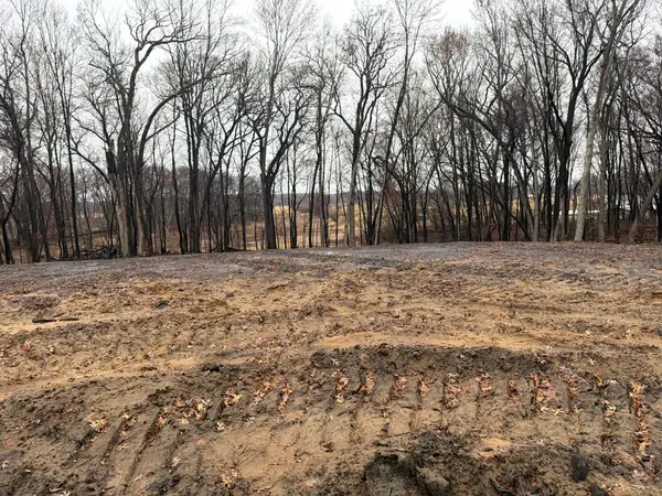 2987 154th Lane Ne, Ham Lake, MN 55304