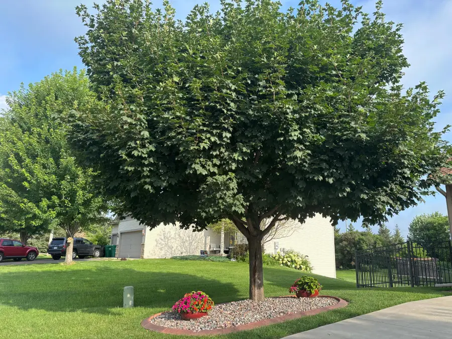 21436 Foxtail Lane S, Rogers, MN 55374 - #3