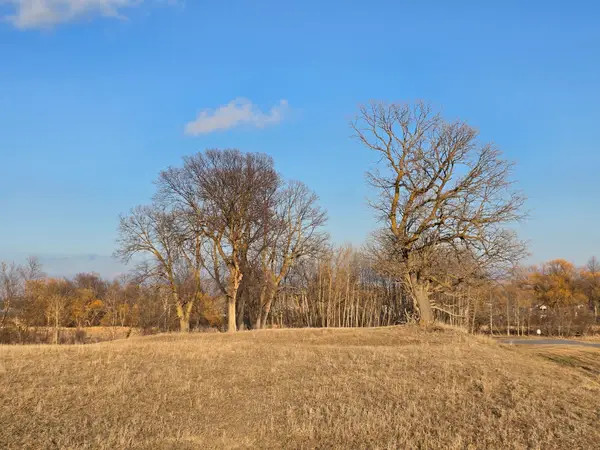 Lot 8 Branch Creek Road, Detroit Lakes, MN 56501