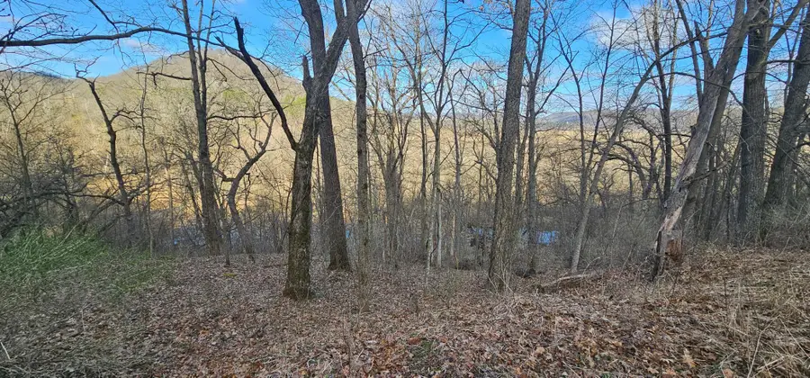 5452 Oak Forest Lane, Houston, MN 55943 - #3