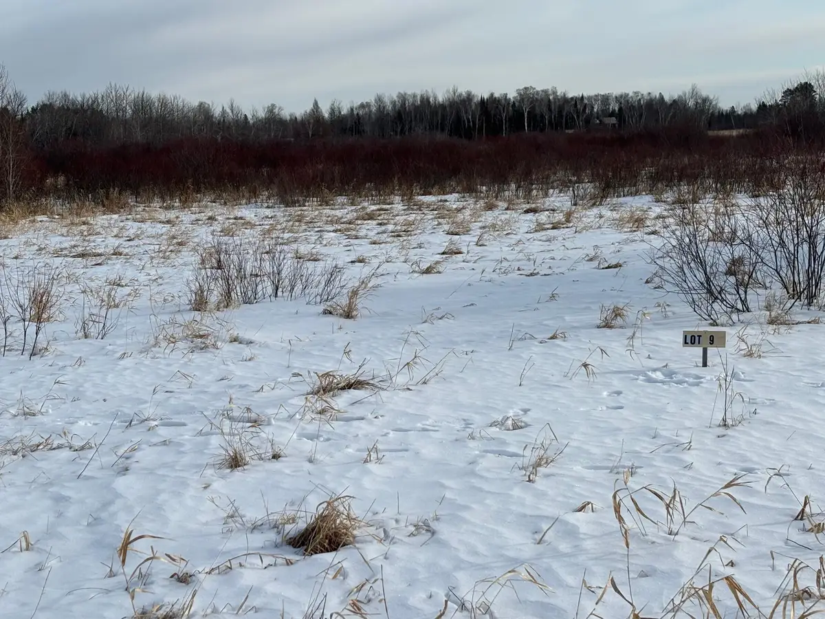 Lot 9 Irvine Avenue Nw, Bemidji, MN 56601 - #1