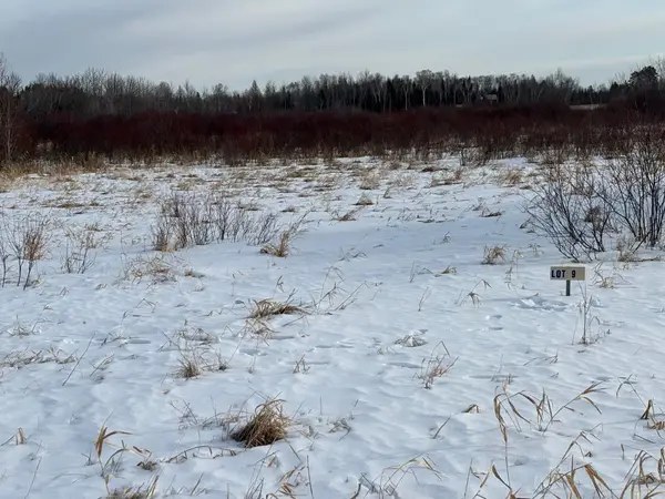 Lot 9 Irvine Avenue Nw, Bemidji, MN 56601