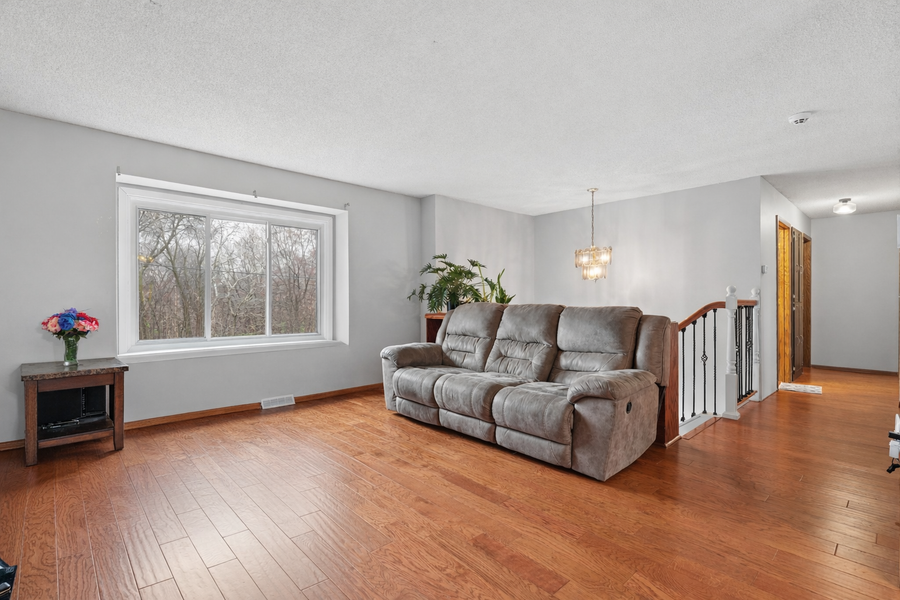 7808 Shingle Creek Drive, Brooklyn Park, MN 55443 - #3