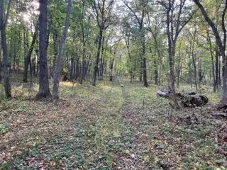 12216 Arcola Trail N, Stillwater, MN 55082 - #1