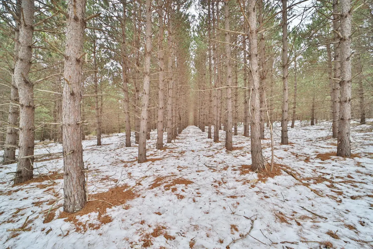 TBD Sleepy Hollow Road, Saint Mathias, MN 56449 - #1