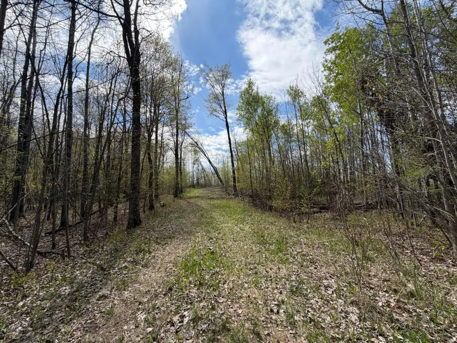 51265 Vagabond Loop, Bemidji, MN 56601 - #3