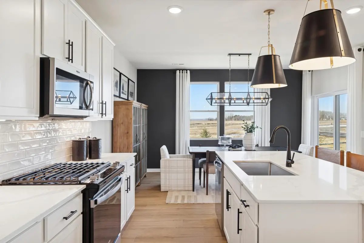 15026 Askeaton Place, Rosemount, MN 55068 - #1