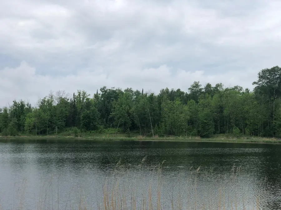 9a Hines Road Ne, Hines, MN 56647 - #3