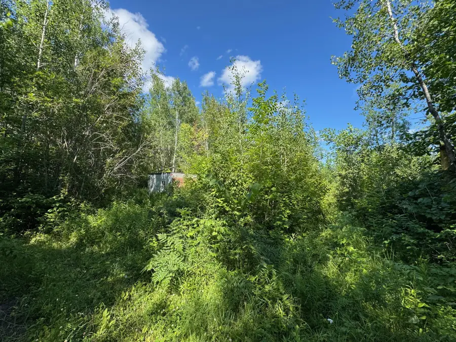 40a Bridgie Road, Northome, MN 56661 - #3