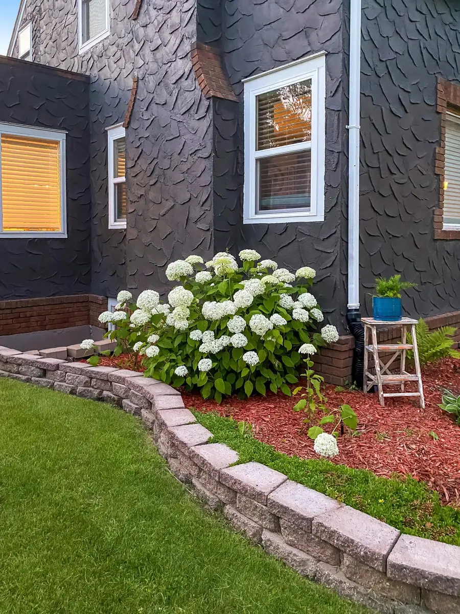 411 2nd Street Sw, Wadena, MN 56482 - #3