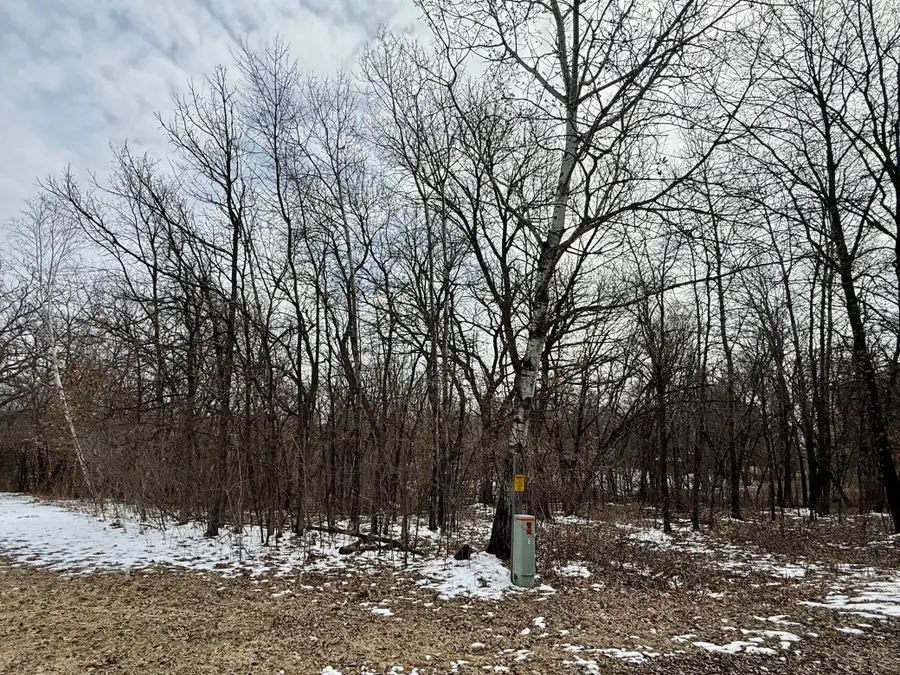 TBD Basswood Drive, Sauk Centre, MN 56378 - #3