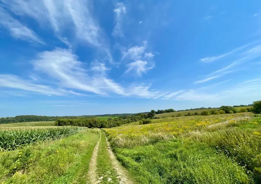 TBD-C County 8, Spring Grove, MN 55954 - #3