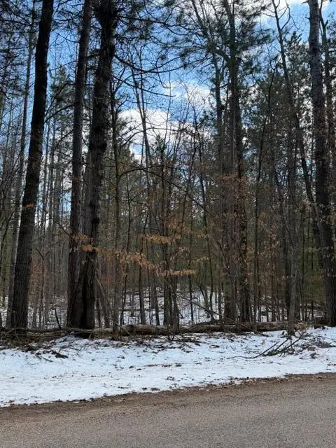 TBD E Long Lake Road, Danbury, WI 54830