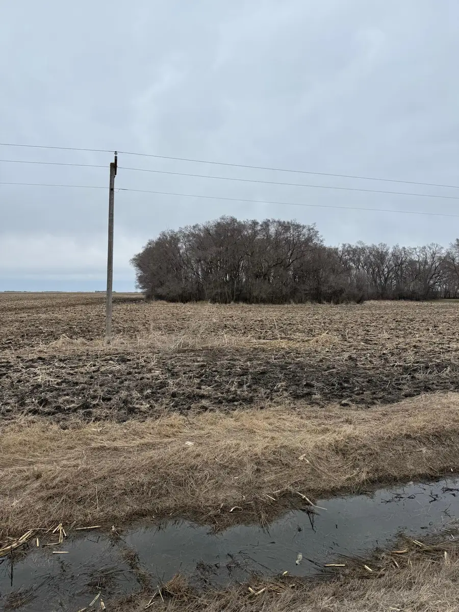 2084 440th Street, Campbell, MN 56522 - #2