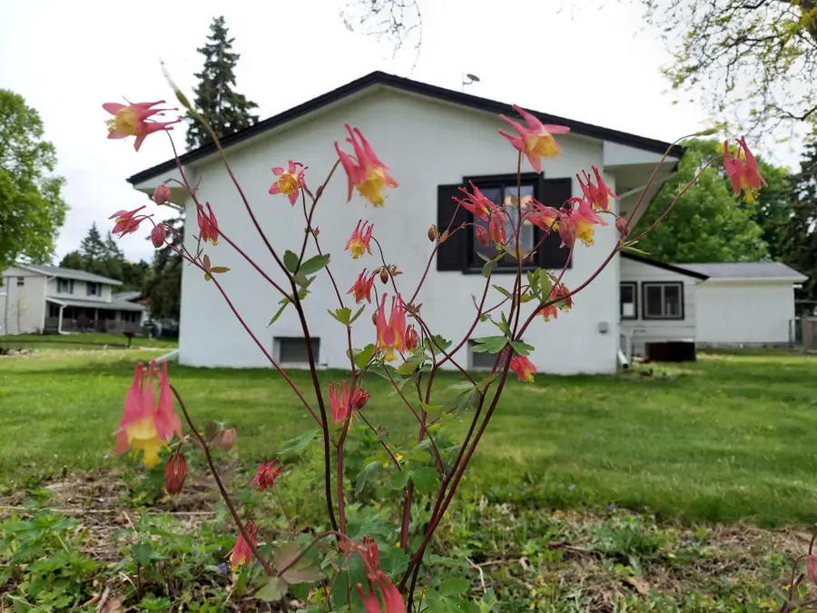 1791 Lake Street, Lauderdale, MN 55113 - #2