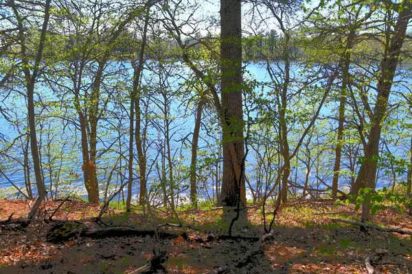 40039 County Rd 17, Browerville, MN 56438