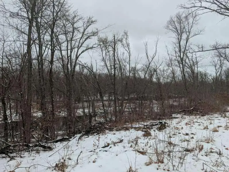 1739 Liberty Street, Mora, MN 55051 - #2