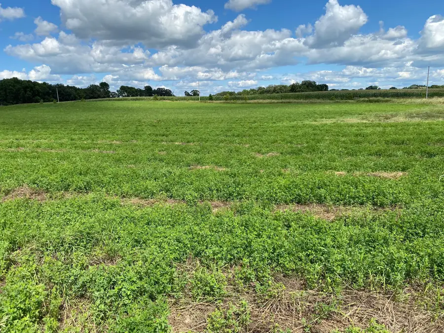 Lot 2 Blk 2 Serenity Drive Sw, Alexandria, MN 56308 - #3