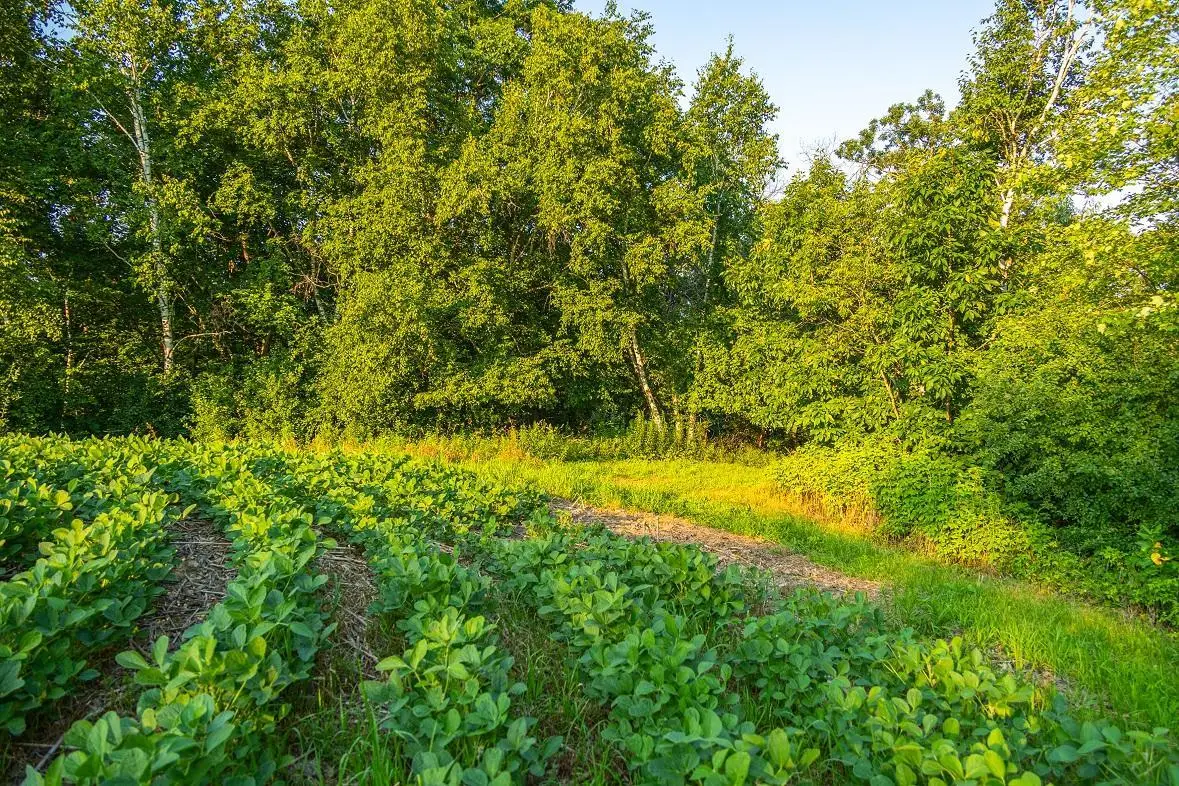 TBD County S Road, Blair, WI 54616 - #1