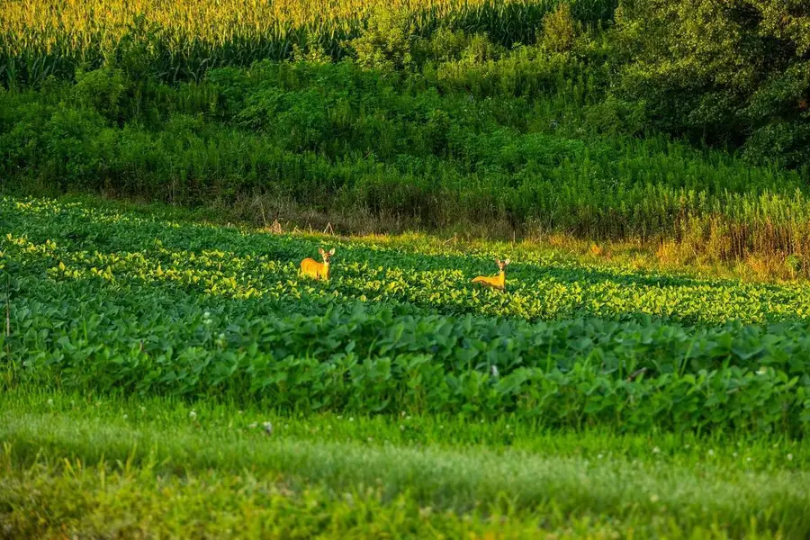 0 Co Rd S, Blair, WI 54616 - #3