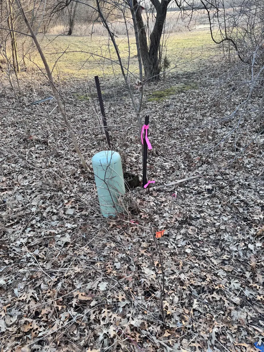 491 Highland Avenue, Big Lake, MN 55309 - #3