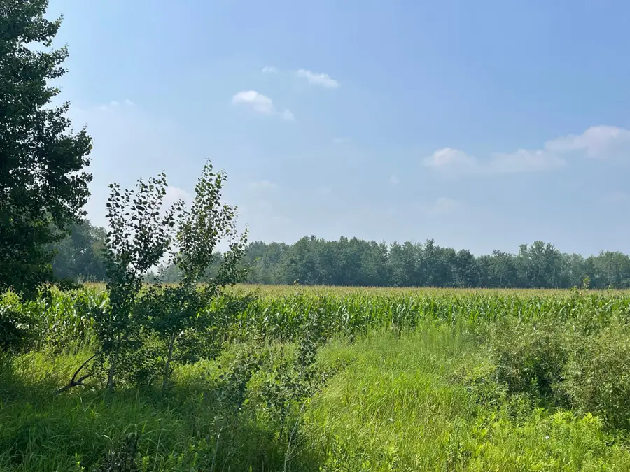 XXX 17th Street, Princeton, MN 55371 - #3