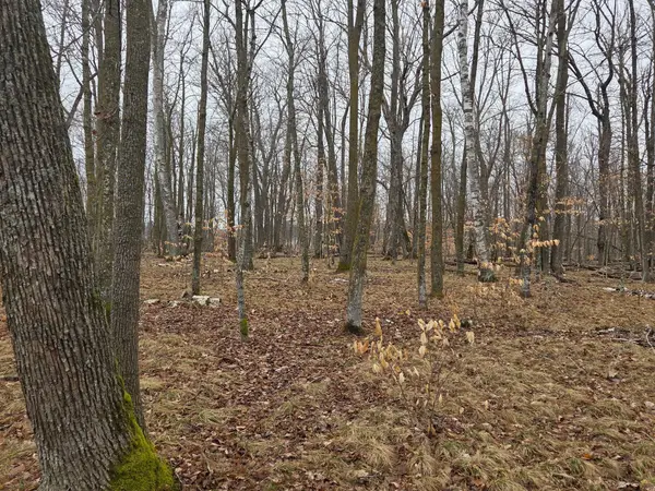 TBD Xxx, Longville, MN 56655