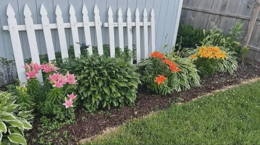 608 S 1st Avenue E, Lake Mills, IA 50450 - #3