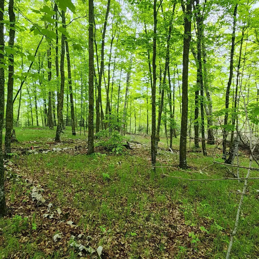 3157 4th Avenue Nw, Longville, MN 56655 - #2