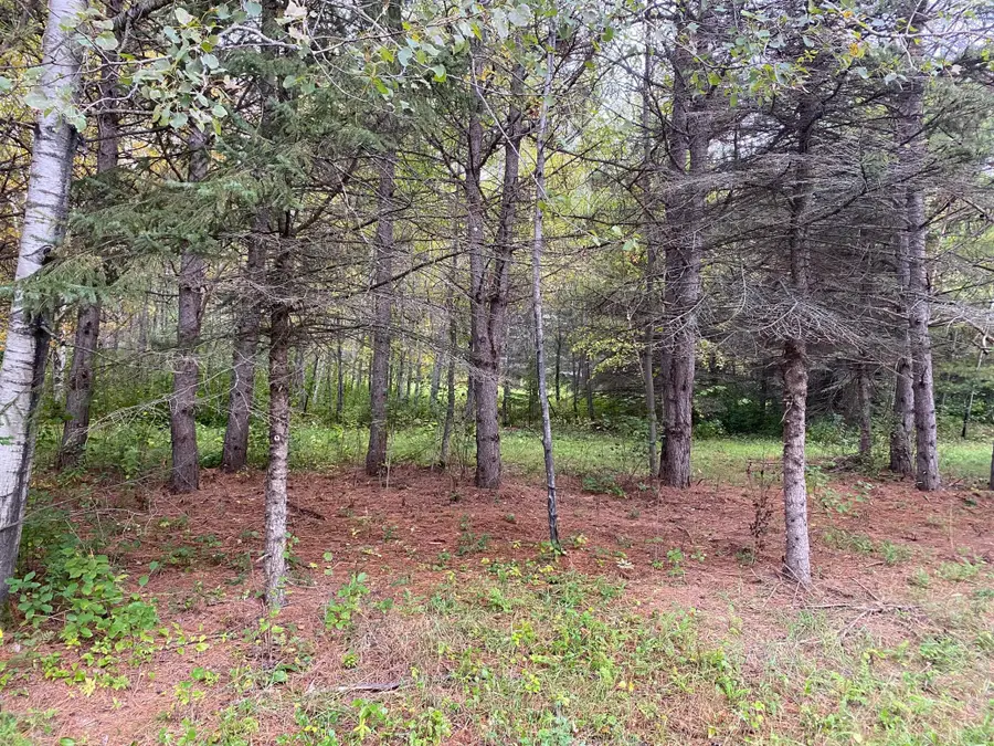 TBD LOT 13 Owl Avenue, Aitkin, MN 56431 - #3