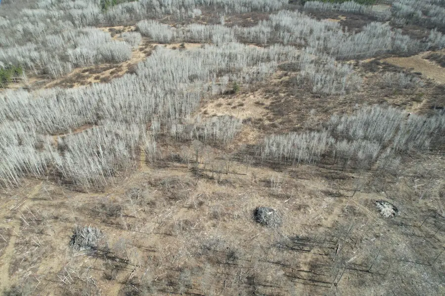 TBD Anderson Crossing Road, Sebeka, MN 56477 - #2