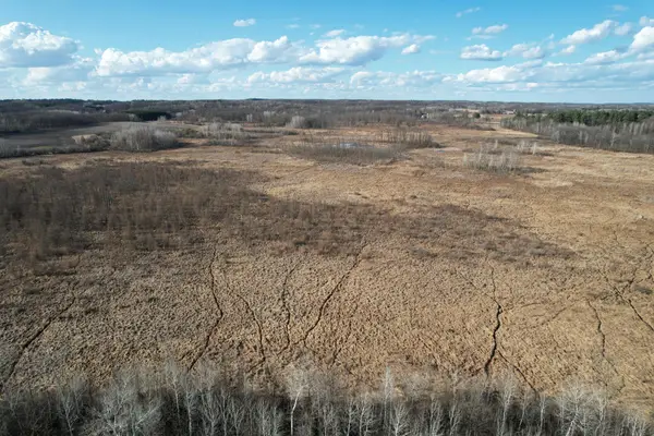 TBD 320th Street, Browerville, MN 56438