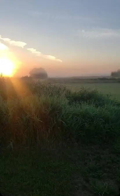 1234 King Road, Ogilvie, MN 56358 - #1