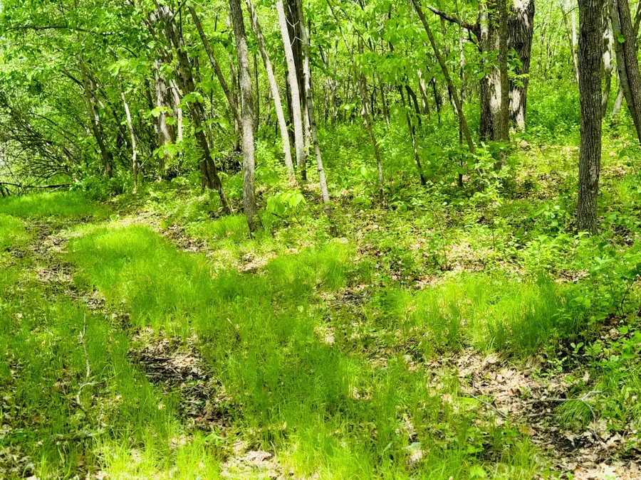 Lot 4 Canterbury Sands Trail, Battle Lake, MN 56515 - #2